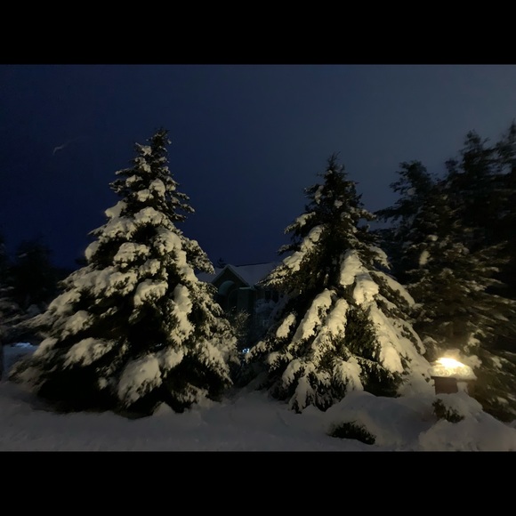 Meet your Posher, Azita - Picture 4 of 4